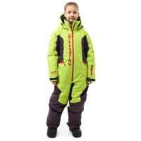Dragonfly Комбинезон утепленный Gravity Teenager Lime - Plum 2025 в Липецке
